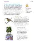 Miniatura página 158 de Nuestros saberes: Libro para alumnos, maestros y familia.   Libro de Educación Primaria Grado 4°  Ciclo Escolar 2025 - 2026