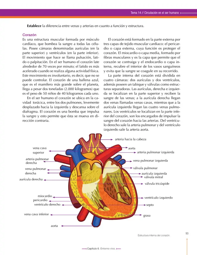 Página 93 de Ciencias Naturales 7° · Secundaria Activa