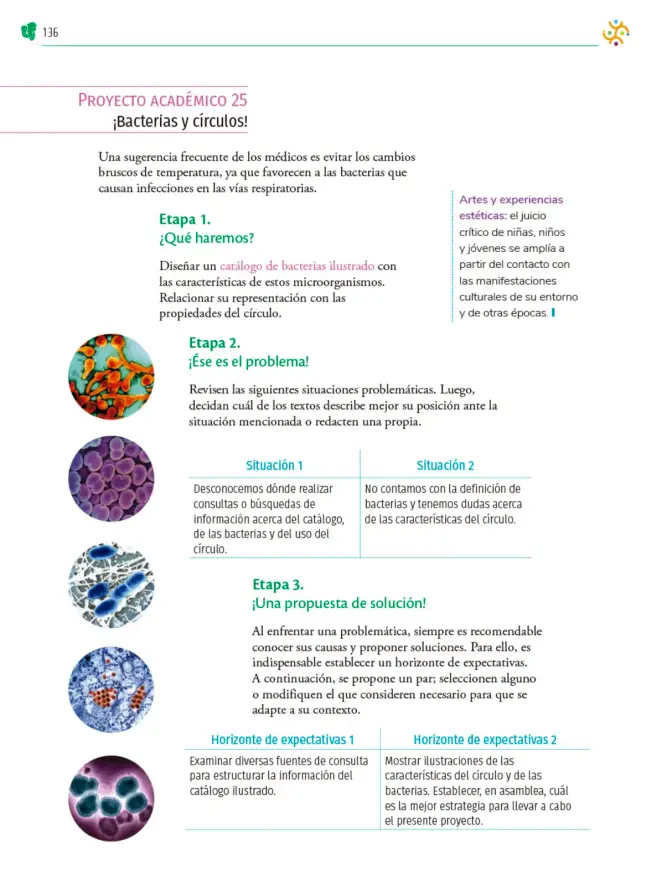 Página 137 de Colección Ximhai. Nuestro libro de Proyectos. Tomo II. Libro de Educación Telesecundaria Grado 1° Ciclo Escolar 2025 - 2026