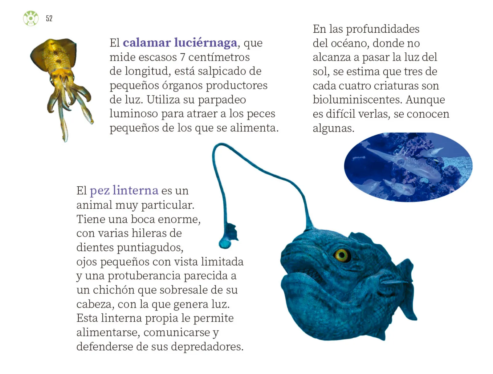 Miniatura página 53 de Múltiples lenguajes.   Libro de Educación Preescolar Grado 3°  Ciclo Escolar 2025 - 2026