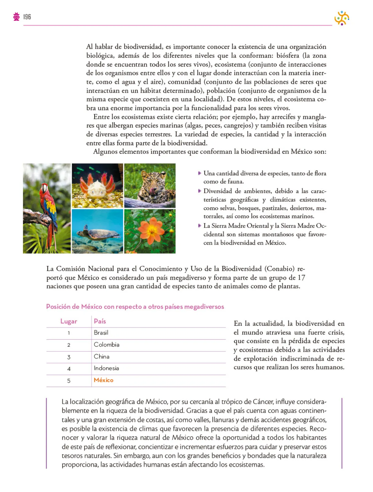 Miniatura página 197 de Colección Ximhai. Saberes y pensamiento científico.   Libro de Educación Secundaria Grado 1°  Ciclo Escolar 2025 - 2026