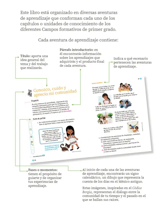Página 6 de Proyectos Comunitarios. Libro de Educación Primaria Grado 1° Ciclo Escolar 2025 - 2026