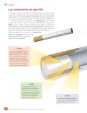 Miniatura página 84 de Libro de Ciencias Naturales – Quinto Básico | Texto del Estudiante MINEDUC – Descargar PDF · 2024