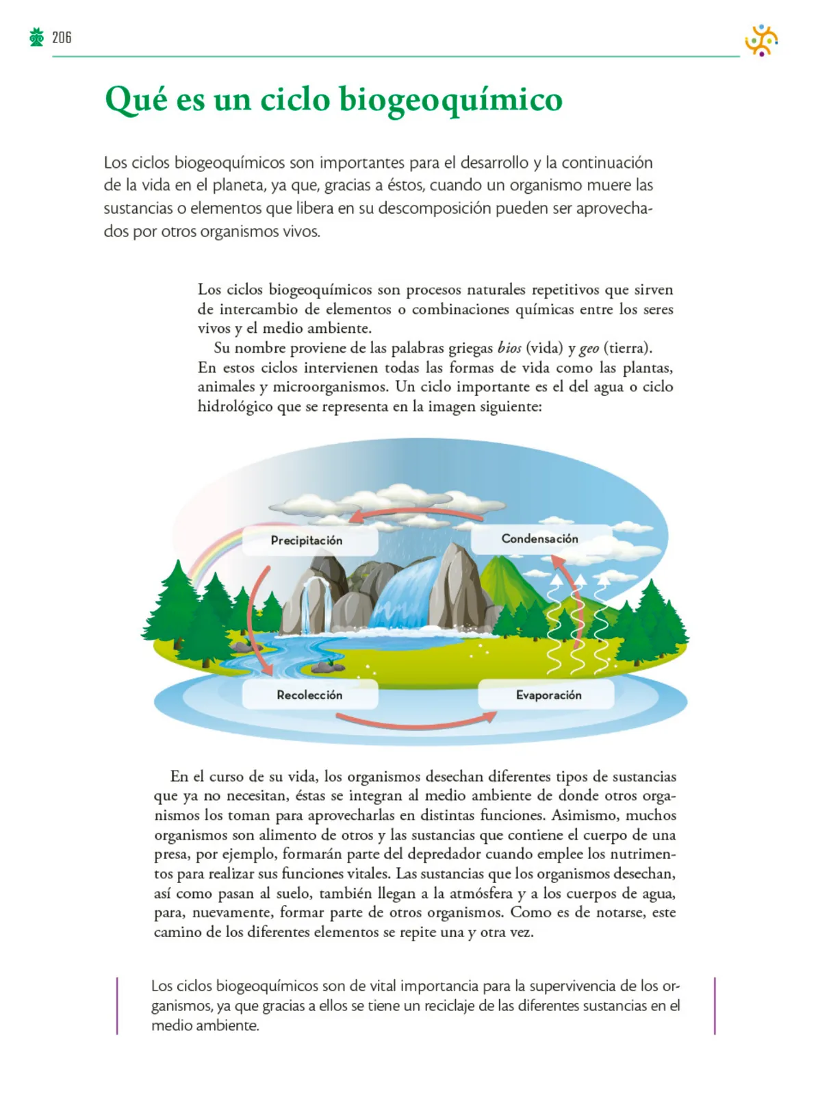 Miniatura página 207 de Colección Ximhai. Saberes y pensamiento científico.   Libro de Educación Telesecundaria Grado 1°  Ciclo Escolar 2025 - 2026
