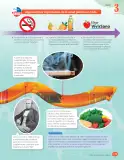 Miniatura página 93 de Libro de Ciencias Naturales – Quinto Básico | Texto del Estudiante MINEDUC – Descargar PDF · 2024