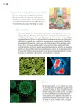 Miniatura página 69 de Nuestros saberes: Libro para alumnos, maestros y familia.   Libro de Educación Primaria Grado 6°  Ciclo Escolar 2025 - 2026