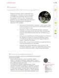 Miniatura página 78 de Nuestros saberes: Libro para alumnos, maestros y familia.   Libro de Educación Primaria Grado 3°  Ciclo Escolar 2025 - 2026
