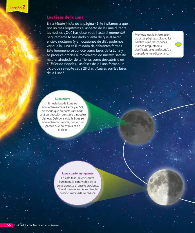 Página 119 de Ciencias Naturales – Tercero Básico | Texto del Estudiante MINEDUC – Descargar PDF · 2024