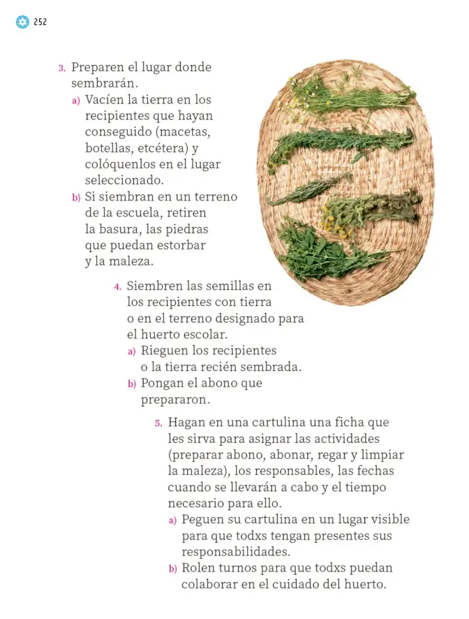 Página 253 de Proyectos Escolares. Libro de Educación Primaria Grado 1° Ciclo Escolar 2025 - 2026