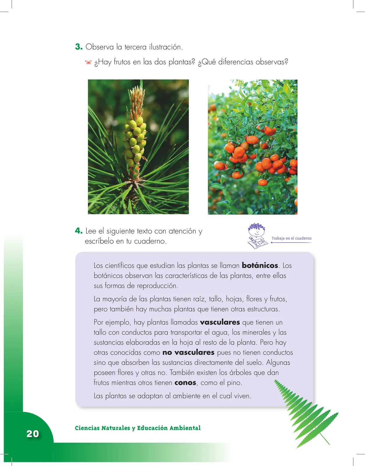 Página 20 de Ciencias Naturales 3° · Cartilla 01