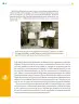 Miniatura página 181 de Colección Sk´asolil. Ética, naturaleza y sociedades.   Libro de Educación Telesecundaria Grado 2°  Ciclo Escolar 2025 - 2026