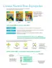 Miniatura página 9 de Colección Sk´asolil. Nuestro libro de Proyectos. Tomo I.    Libro de Educación Telesecundaria Grado 2°  Ciclo Escolar 2025 - 2026