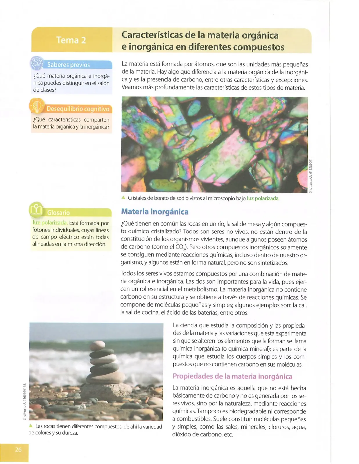 Miniatura página 25 de Ciencias Naturales · 8 EGB · 2025