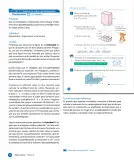 Miniatura página 80 de Libro de Sumo Primero – Sexto Básico | Texto del Estudiante MINEDUC – Descargar PDF · 2024