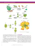 Miniatura página 112 de Ciencias Naturales 9° · Secundaria Activa