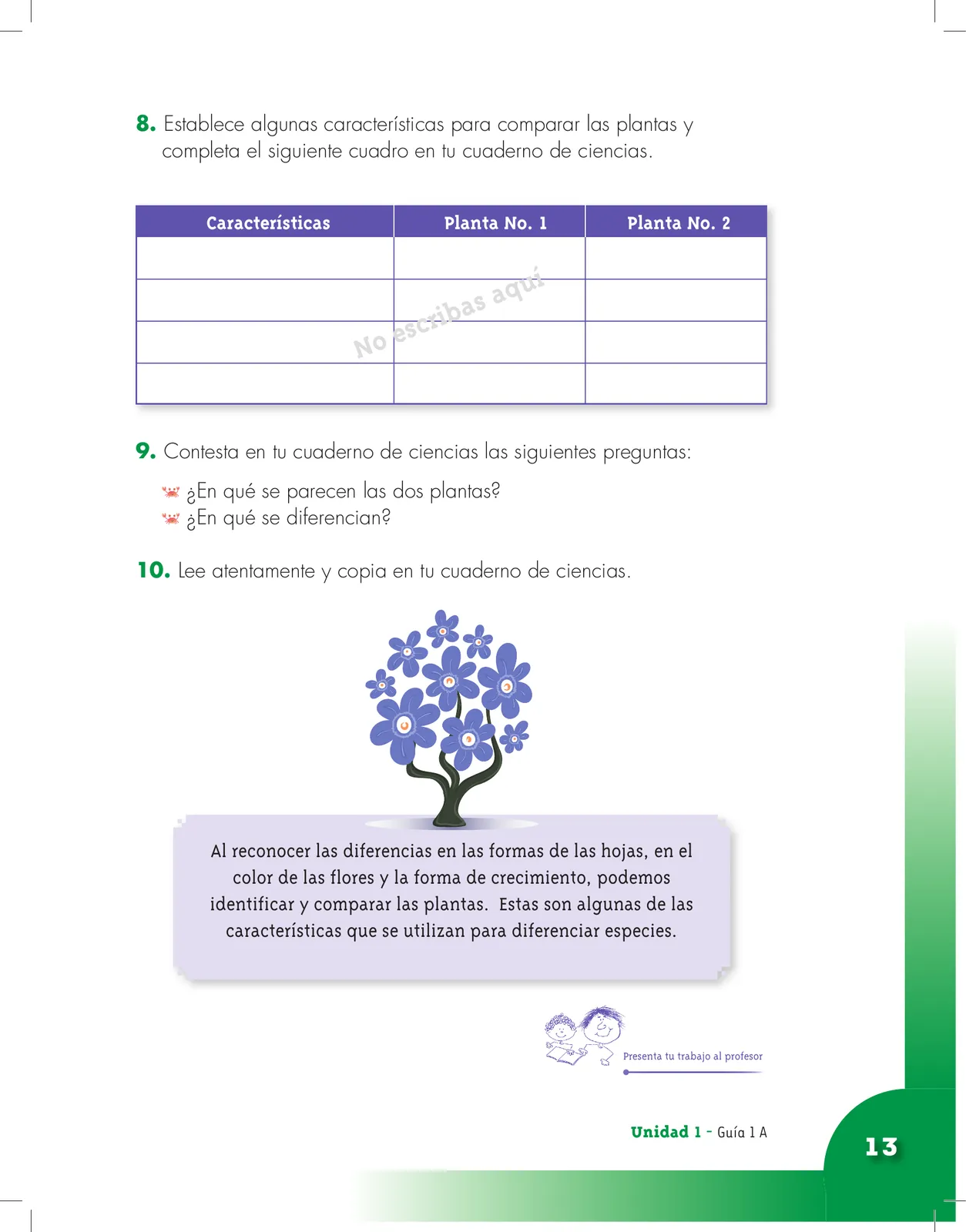Página 13 de Ciencias Naturales 3° · Cartilla 01
