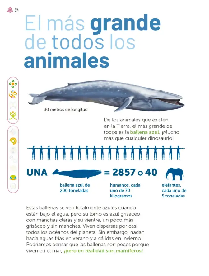 Página 25 de Múltiples lenguajes. Libro de Educación Primaria Grado 3° Ciclo Escolar 2025 - 2026