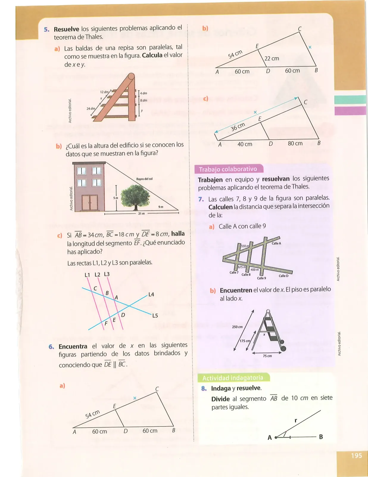 Pág 195