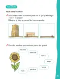 Miniatura página 58 de Lenguaje y Comunicación – Primero Básico | Texto del Estudiante MINEDUC – Descargar PDF · 2024