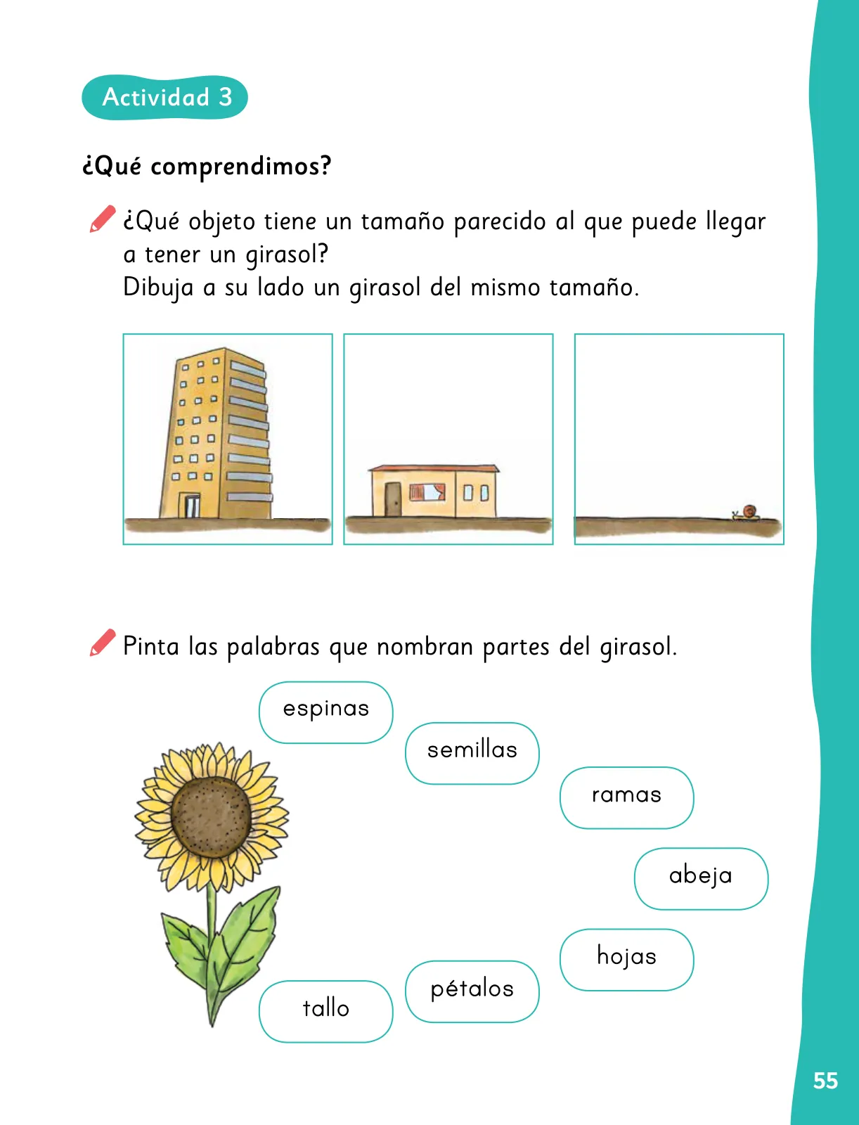 Pág 58