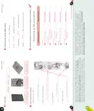 Miniatura página 99 de Inglés – Quinto Básico | Texto del Estudiante MINEDUC – Descargar PDF · 2024