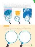 Miniatura página 51 de Ciencias Naturales – Cuarto Básico | Texto del Estudiante MINEDUC – Descargar PDF · 2024