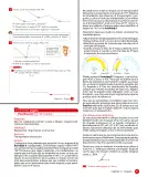 Miniatura página 53 de Libro de Sumo Primero – Sexto Básico | Texto del Estudiante MINEDUC – Descargar PDF · 2024