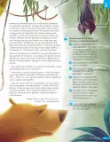 Miniatura página 72 de Lenguaje y Comunicación – Sexto Básico | Texto del Estudiante MINEDUC – Descargar PDF · 2024