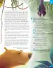 Miniatura página 72 de Lenguaje y Comunicación – Sexto Básico | Texto del Estudiante MINEDUC – Descargar PDF · 2024