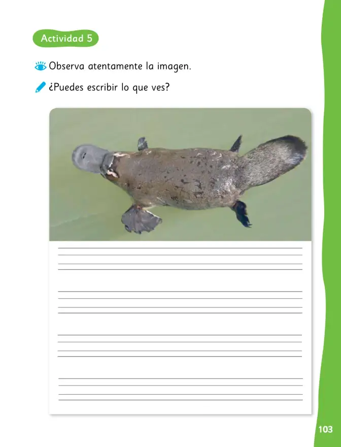 Página 106 de Lenguaje y Comunicación – Primero Básico | Texto del Estudiante MINEDUC – Descargar PDF · 2024