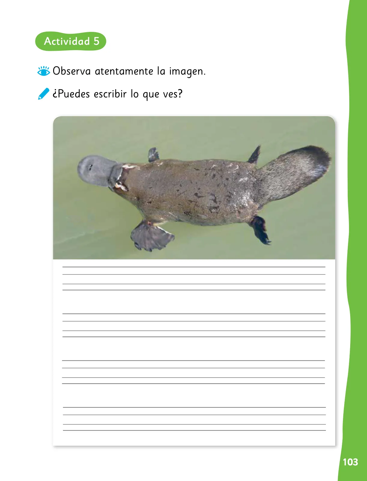 Miniatura página 106 de Lenguaje y Comunicación – Primero Básico | Texto del Estudiante MINEDUC – Descargar PDF · 2024
