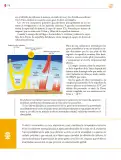 Miniatura página 177 de Colección Sk´asolil. Saberes y pensamiento científico.   Libro de Educación Secundaria Grado 2°  Ciclo Escolar 2025 - 2026
