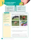 Miniatura página 140 de Libro de Ciencias Naturales – Quinto Básico | Texto del Estudiante MINEDUC – Descargar PDF · 2024