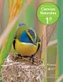 Ciencias Naturales – Primero Básico | Texto del Estudiante (MINEDUC) – Descargar PDF · 2024