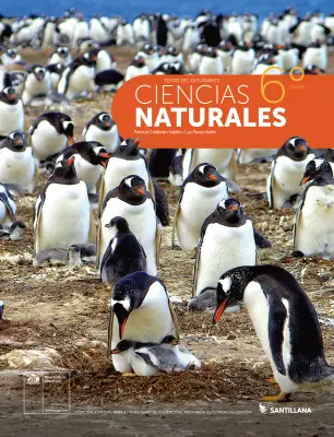 Portada de Libro de Ciencias Naturales – Quinto Básico | Texto del Estudiante MINEDUC – Descargar PDF · 2024