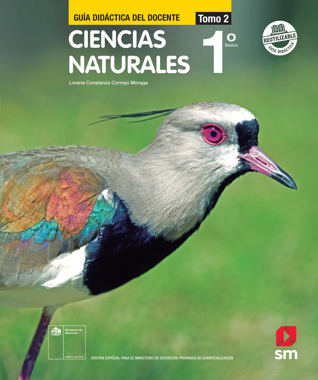 Ciencias Naturales – Primero Básico | Texto del Estudiante (MINEDUC) – Descargar PDF · 2024