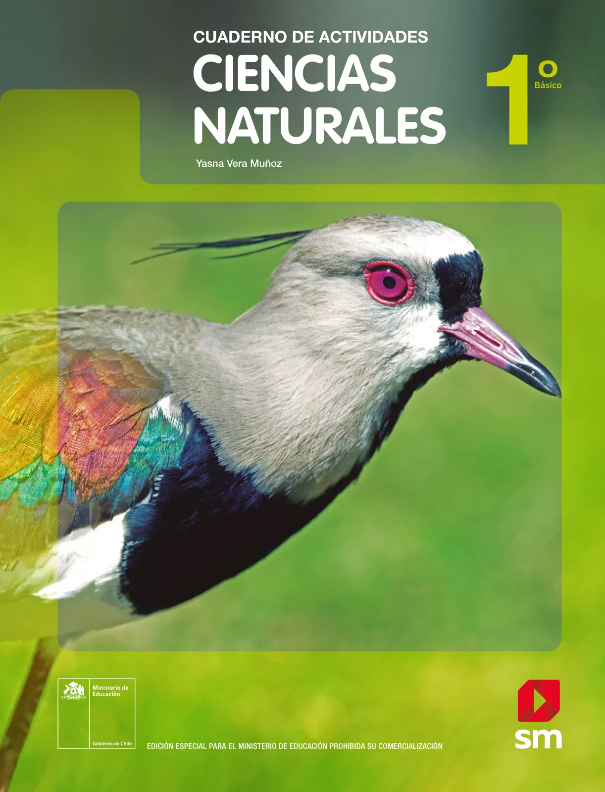 Ciencias Naturales – Primero Básico | Texto del Estudiante (MINEDUC) – Descargar PDF · 2024