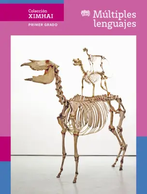 Portada de Colección Ximhai. Múltiples lenguajes. Libro de Educación Secundaria Grado 1° Ciclo Escolar 2025 - 2026